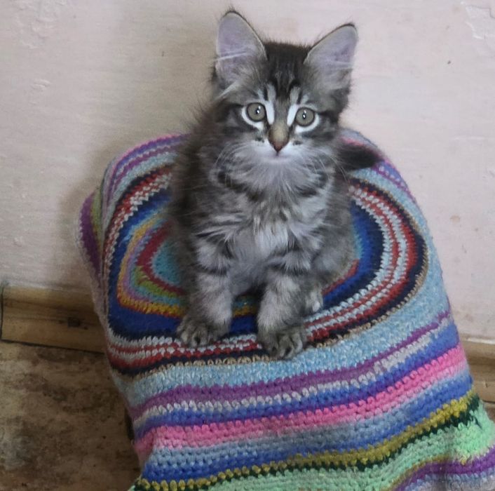 Девчонка два месяца