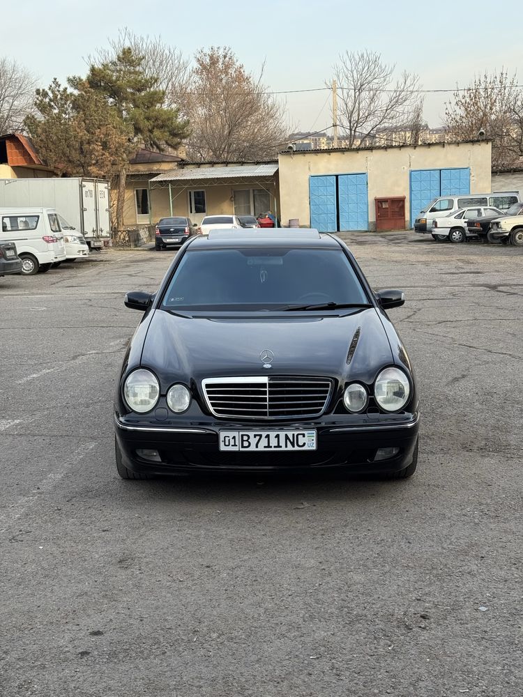 Mercedes benz w210. Zaychik