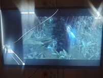 Телевизор AVA 32
