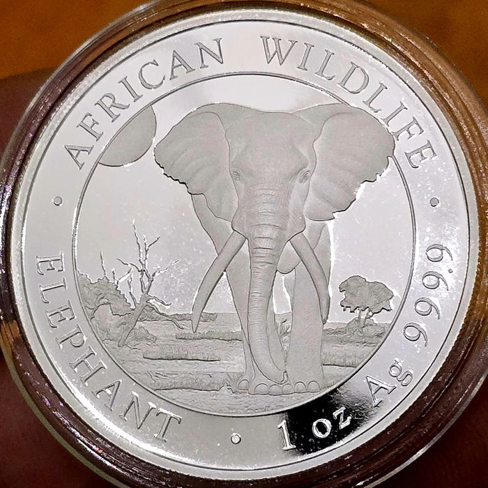 Maple Leaf Cangurul Britannia Filarmonica +++ monede argint lingou 999