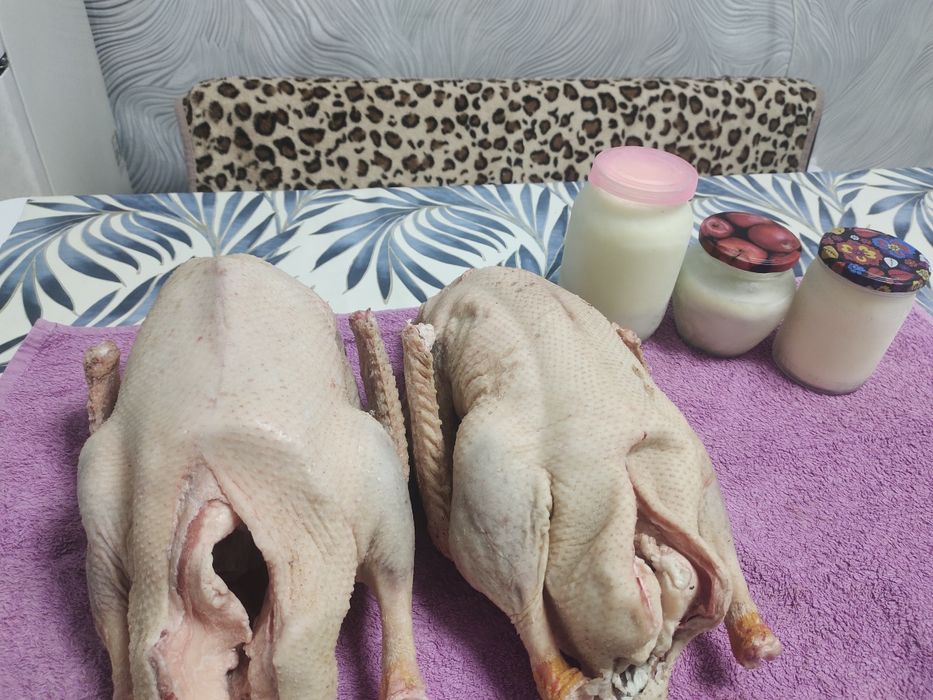 Продам молоденьких гусей весом около трех, четырех кг вырашеные  в л