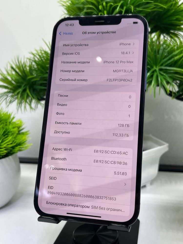 Iphone 12 Pro Max 128 Gb
