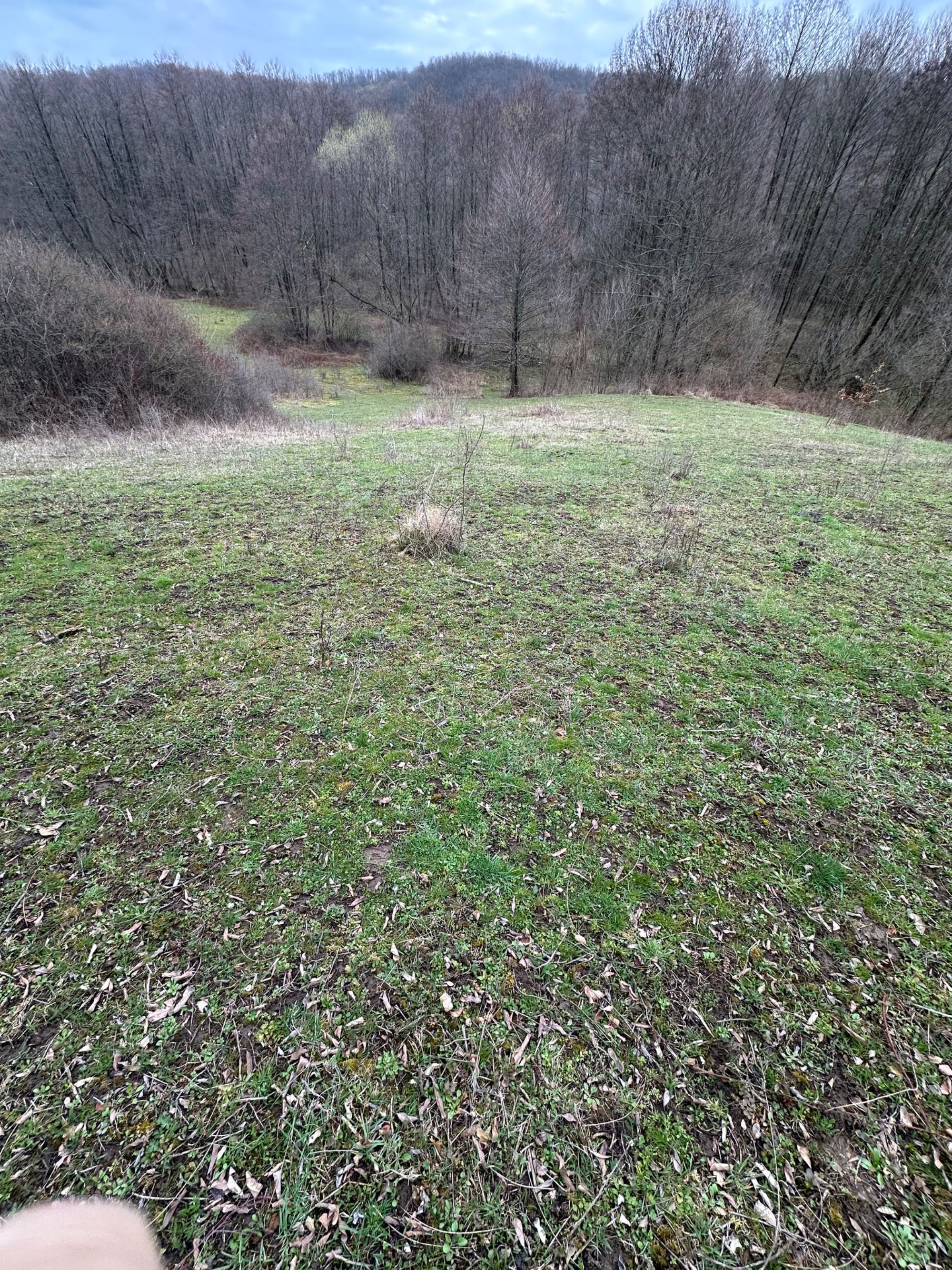 Vând teren extravilan în localitatea Dragesti, Bihor. 2000mp