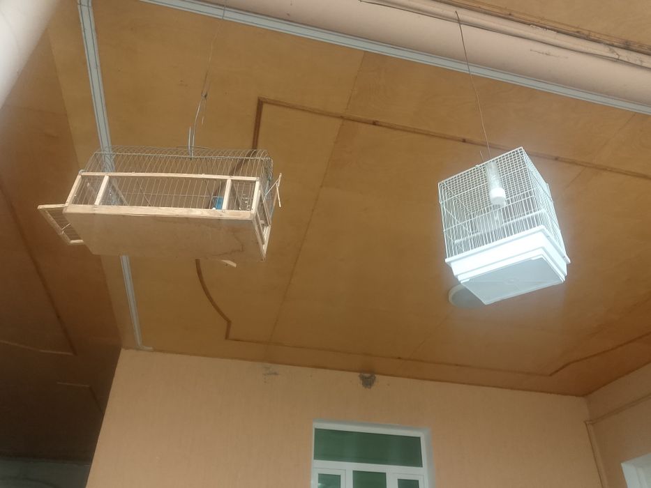 Qafaslar sotiladi yaxshi holatda