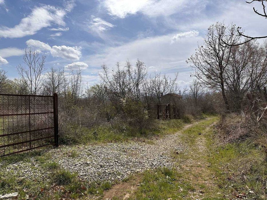 Продава се Парцел в с. Веселие, Област Бургас - 1569 кв.м за 16 €/кв.м - Снимка #7