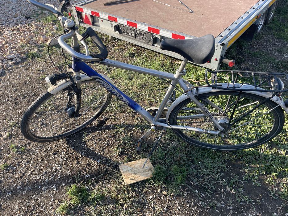 Bicicletă adult Triumph