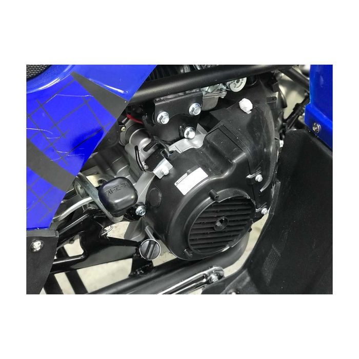 Atv Kxd Outlander Grizzly OffRoad Germany 200cmc Roti 10" Rate TBI