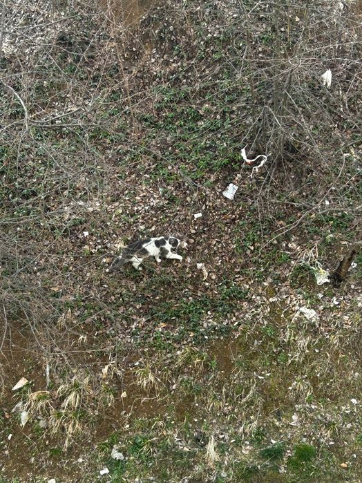 Продава УПИ - Костинброд