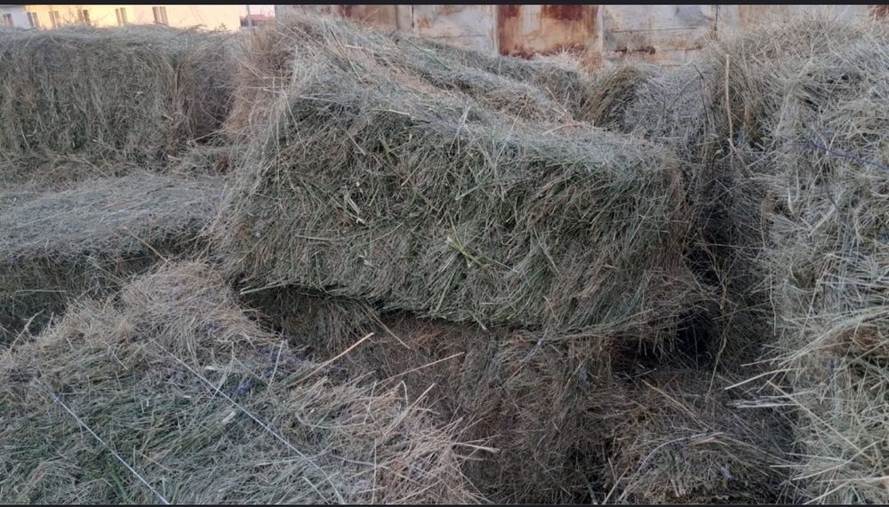 Продам тюк луговой и степной