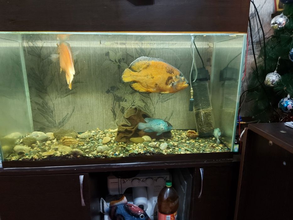 Продам аквариум  с  тумбой.