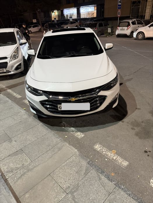 Malibu2 2,4 oq tozza