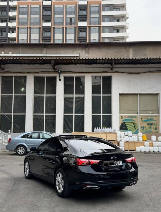 Malibu 2 qora 2023 krasska tozza