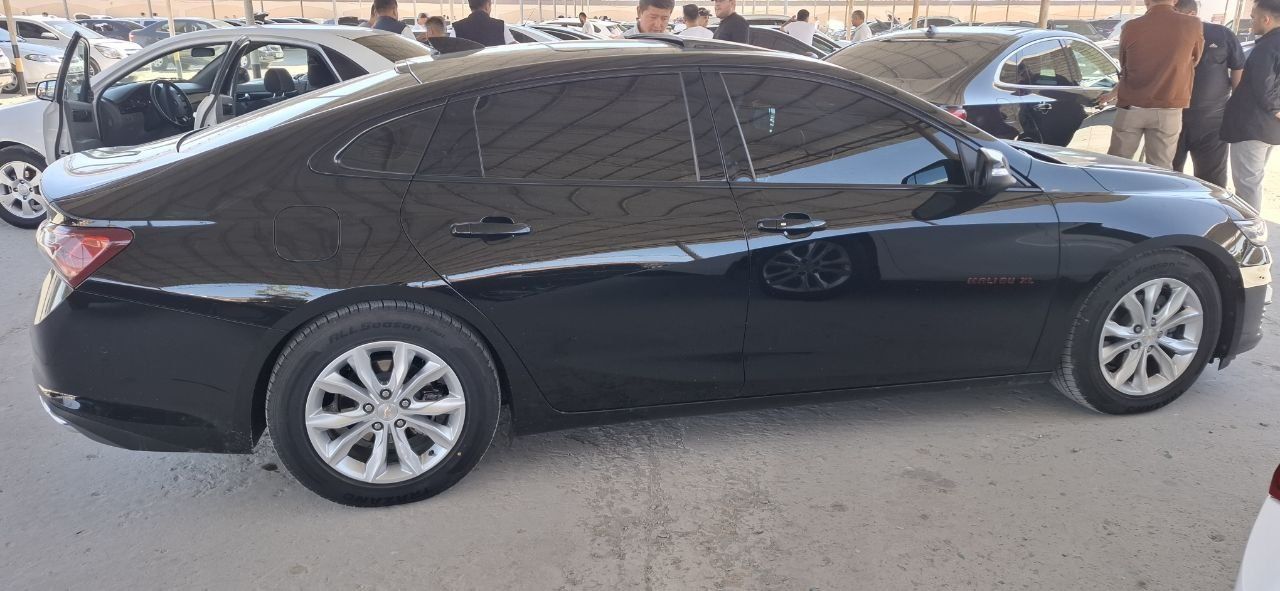 MALIBU 2 XL sroshno