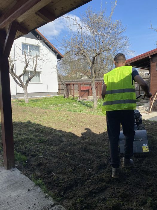 Gazon rulou si plante ornamentale