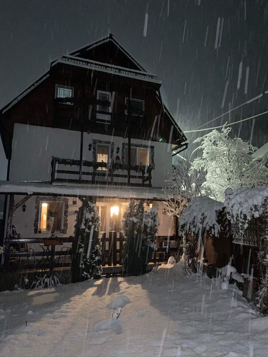 Vila Teodora Albac - Disponibilă pentru REVELION