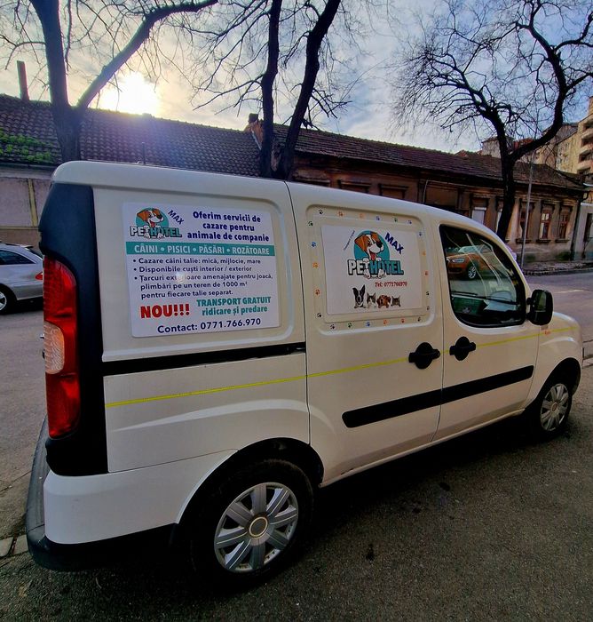 Animale de companie - TRANSPORT