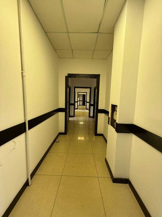 Нежилое помещение 1 линия