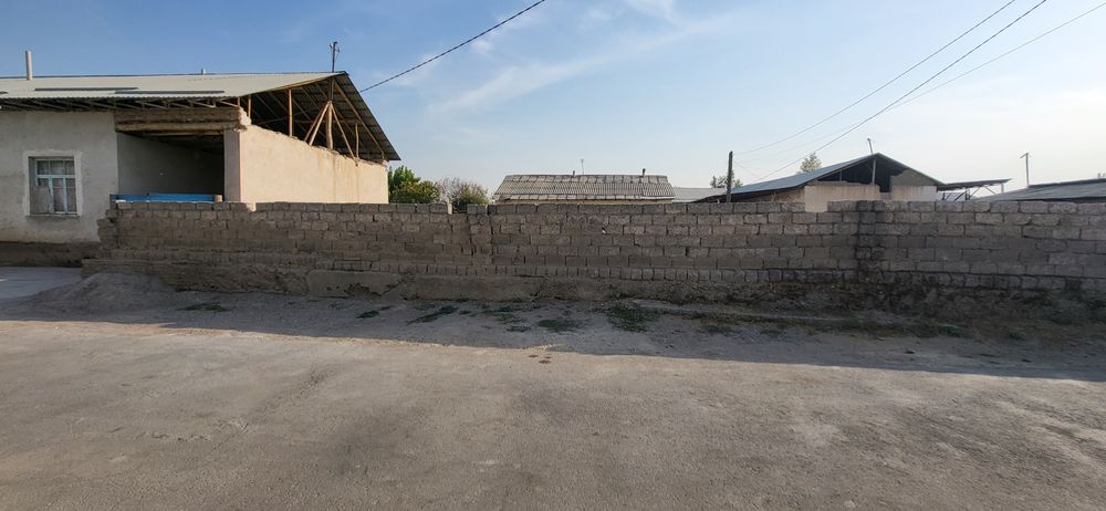 Бектемир Бинокор