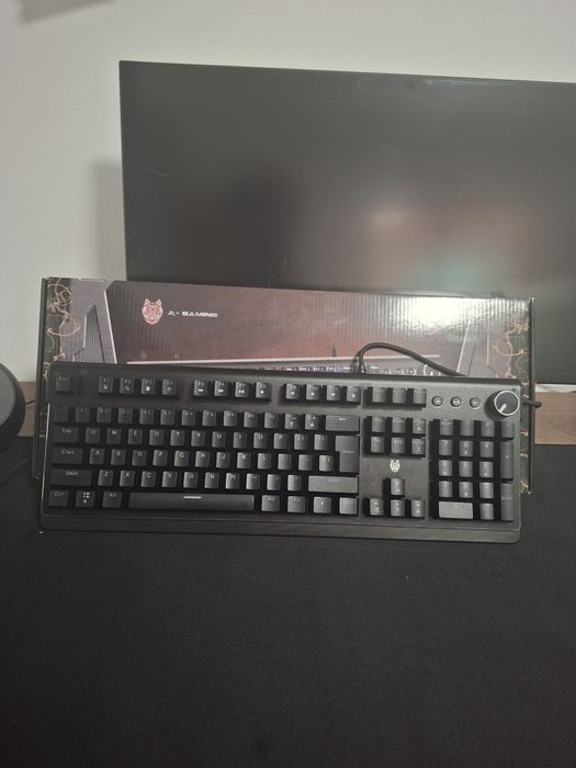 Setup gaming + PC (ușor neg)