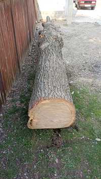 Продам дуб дерево