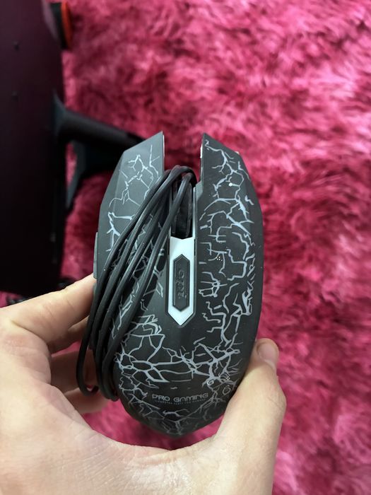 Monitor,tastatura,maus,casti,mausped