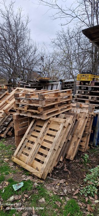 Vând paleta din lemn .