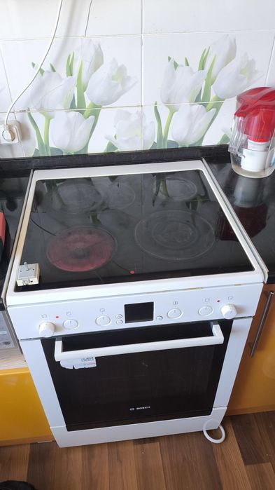 Ремонт электроплит.Пылесосов.Духовок.Отпаривателей.Парогенераторов