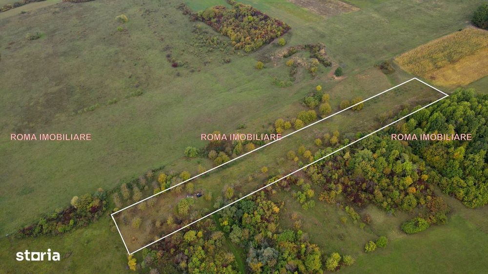 Berchez teren extravilan de vanzare