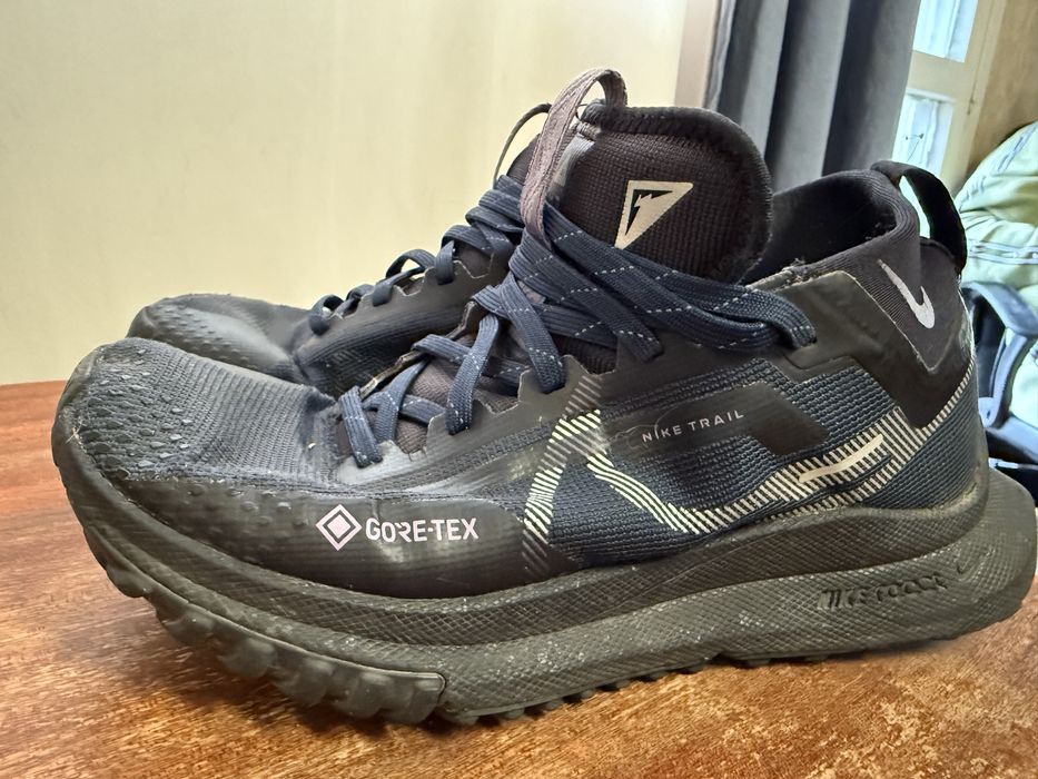 Nike Pegasus Trail 4 GORE-TEX