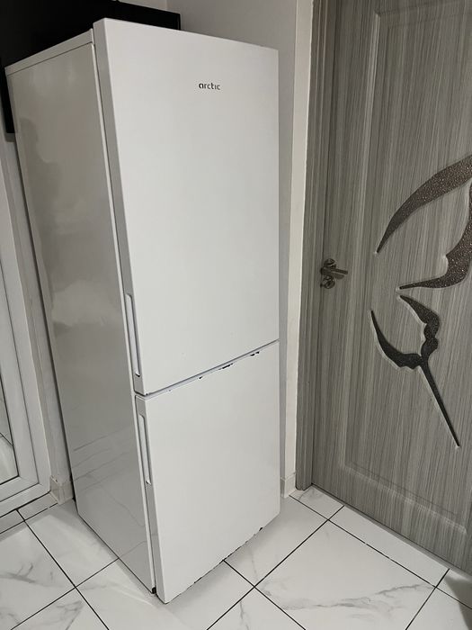 Arctic il am de  3 ani