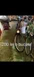Biciclete de vânzare Constanța