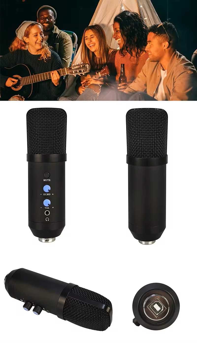 Microfon Profesional de Studio Condenser Riwral LRu700