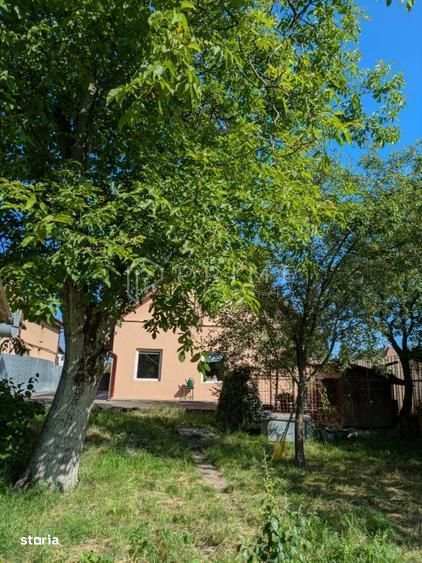 Clădire multifuncțională de vânzare sau închiriere – 7 Noiembrie