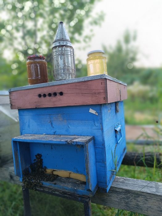 Miere naturala de albine!