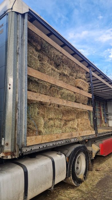 Baloti fan sau lucerna Rotunzi 40.Drept.500;Pomi Aluni Nuc.Castan.Afin