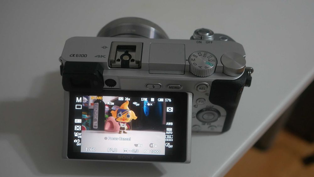 Sony a6100 sub 3000 cadre
