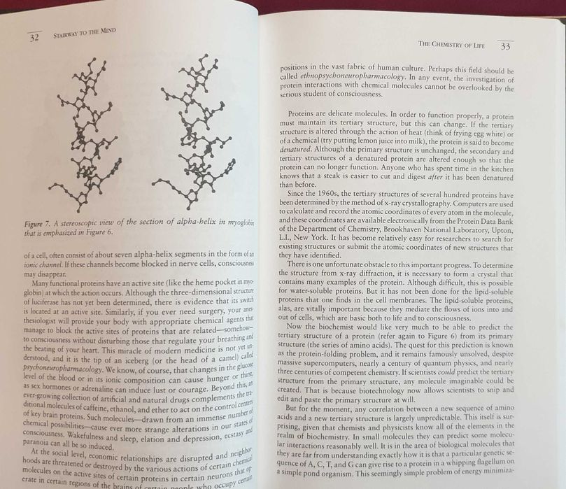 Stairway to the Mind. The Controversial New Science of Consciousness