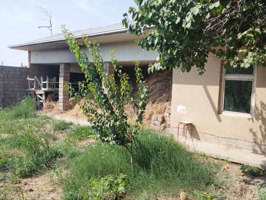 6 sotix yer sotiladi