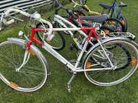 Biciclete inport germania