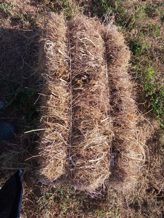 Беда бор сотилади