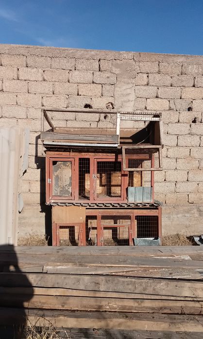 Ящики для цыплят и кроликов