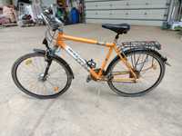 Bicicleta McKenzie