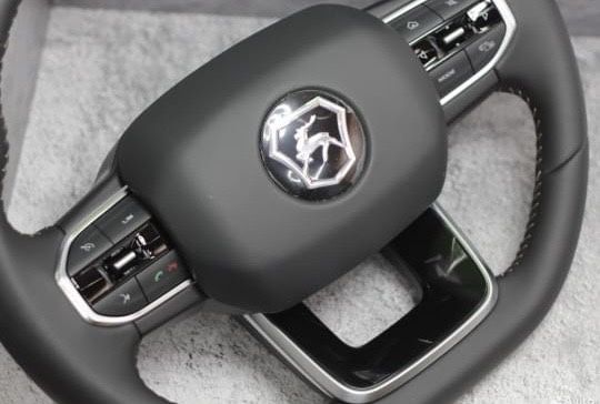 Руль (мультируль)