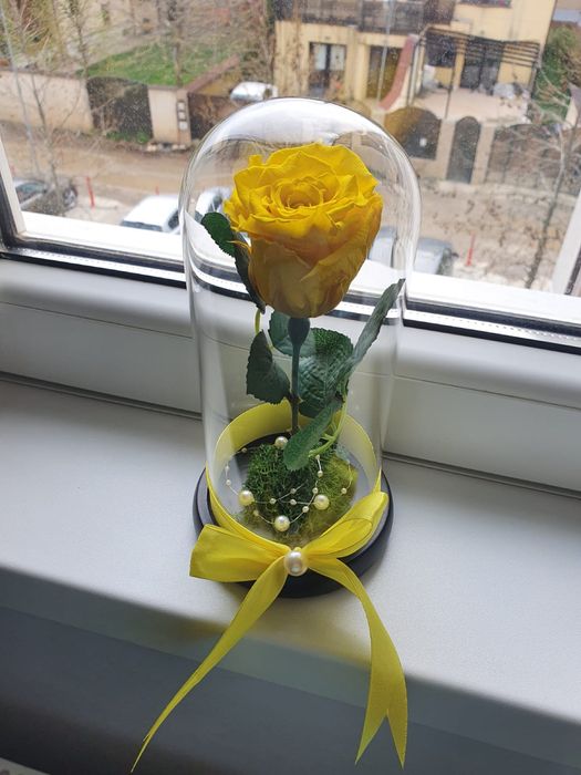 Trandafir galben criogenat conservat in cupola de sticla
