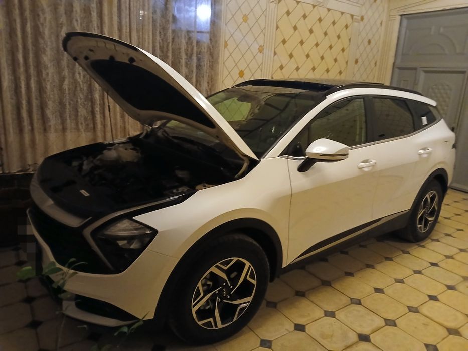 2024 йилда сотиб олинган, панорама том спортейж