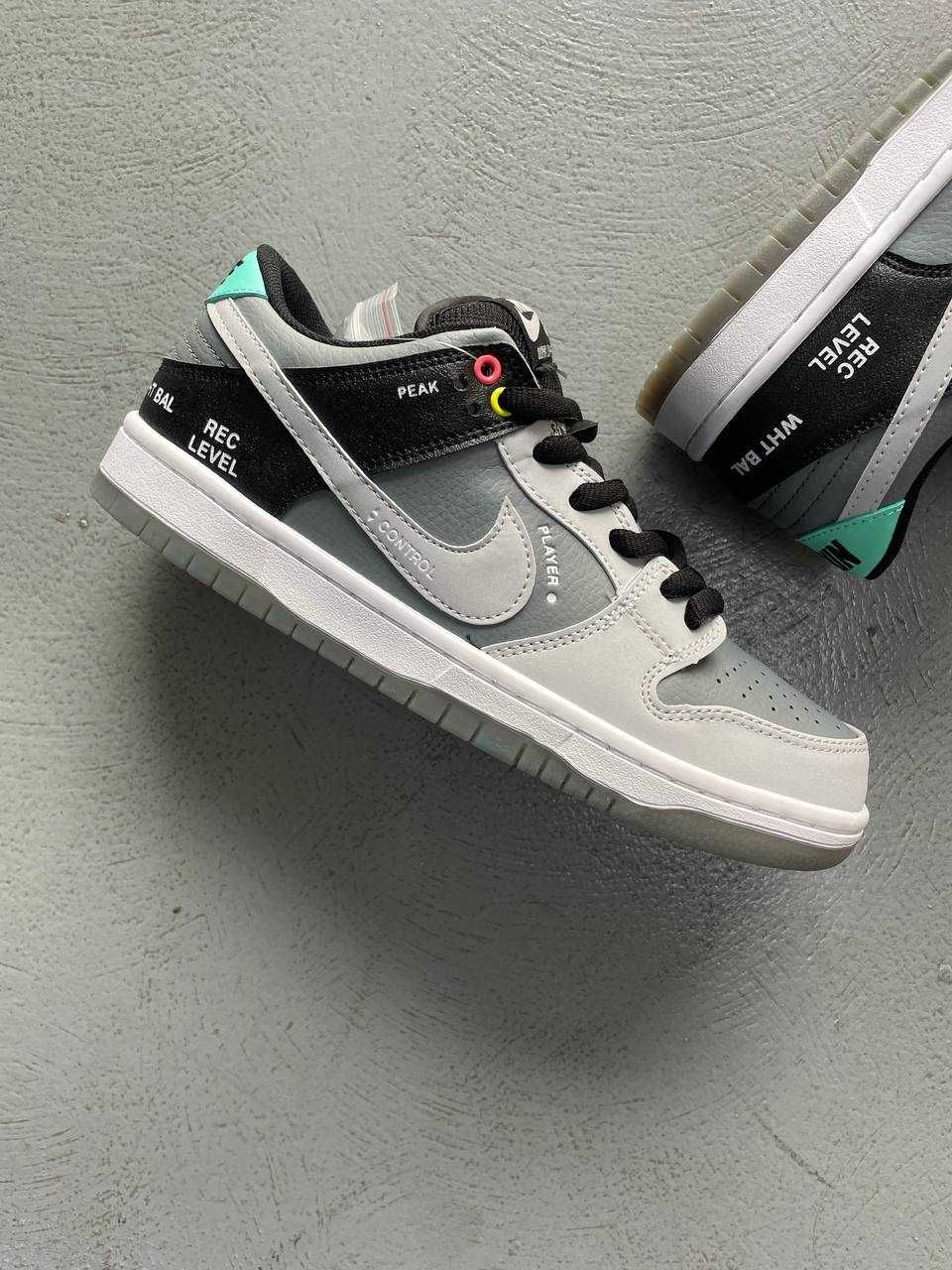 Nike Dunk Low SB Camcorder