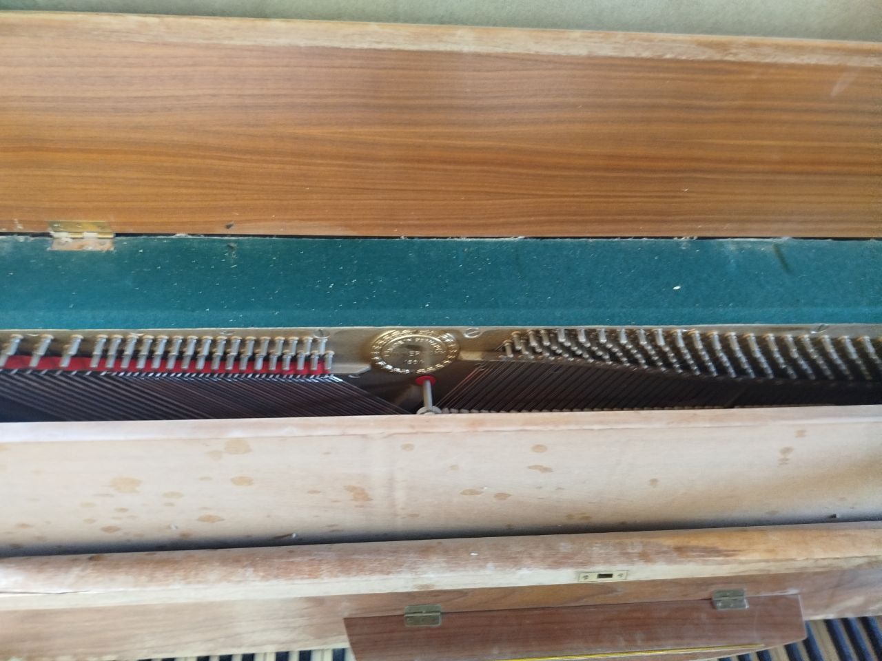 Pianina  holati F/b