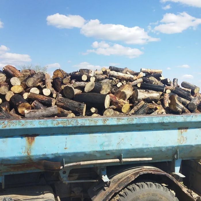 Продам дрова сосна карагач