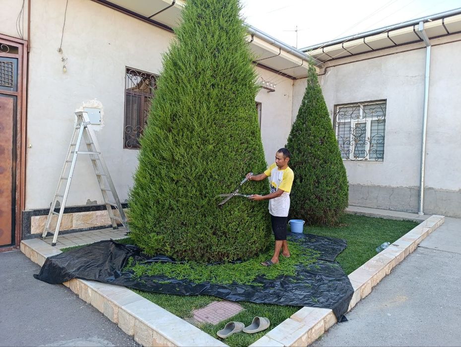 archa kesish dorilash