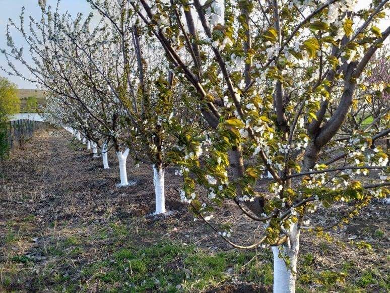 Teren intravilan zona cu competitii pescaresti a Baltii Cercani Greaca